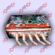 Petardo "EL CHACAL" M.M. Explosion Total 1 x50
